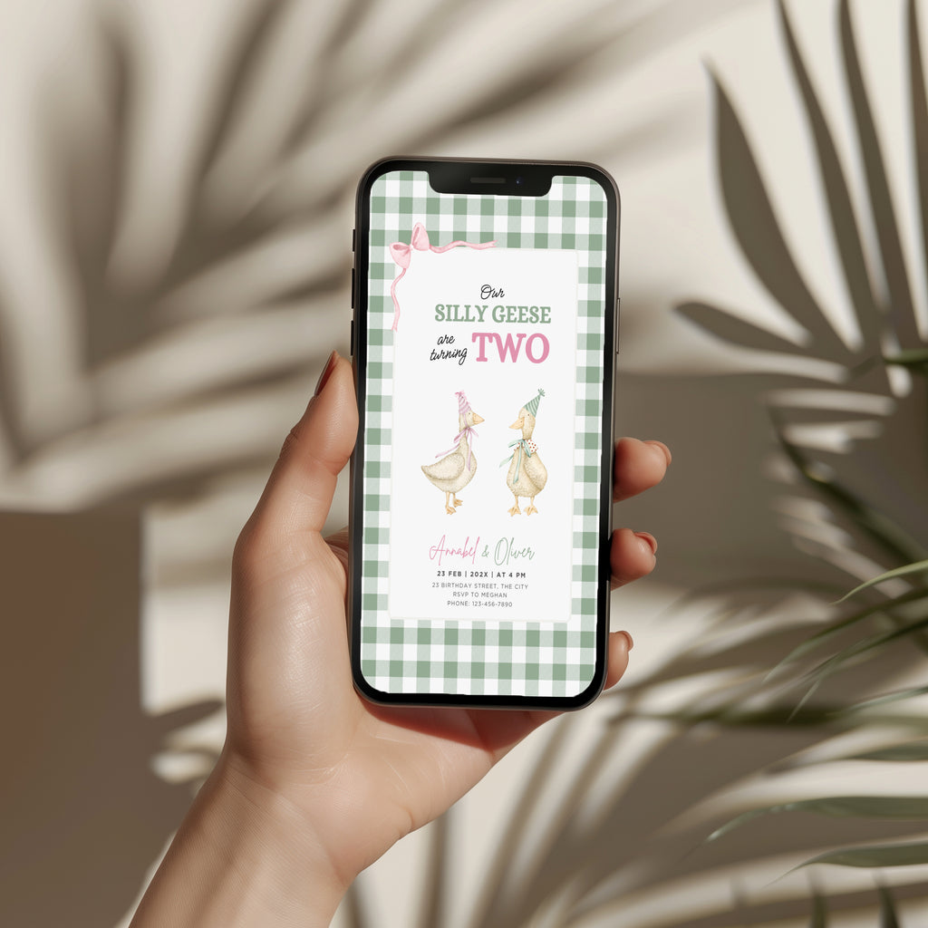 silly geese twins second birthday invitation with vintage geese and sage green gingham background