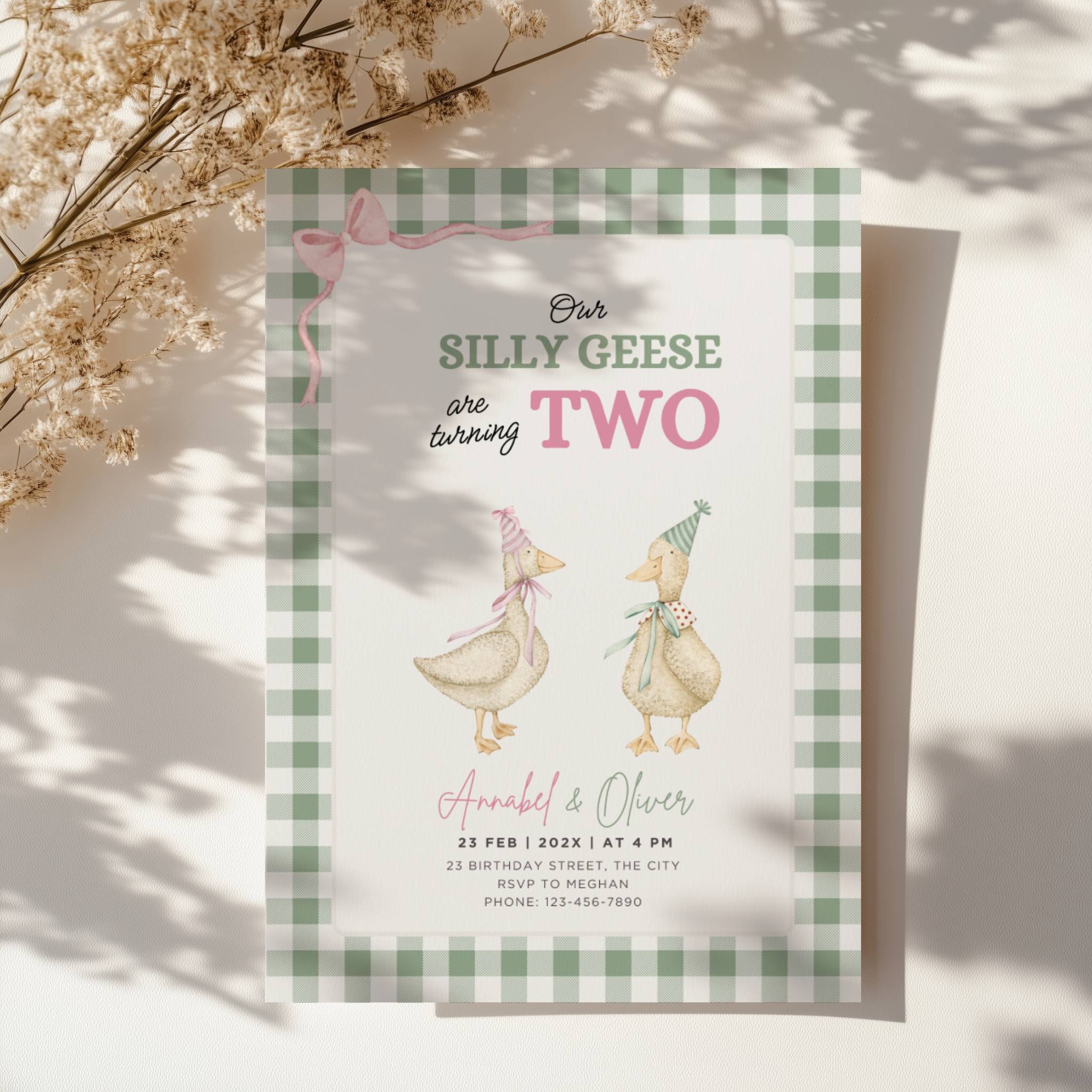silly geese twins second birthday invitation with vintage geese and sage green gingham background