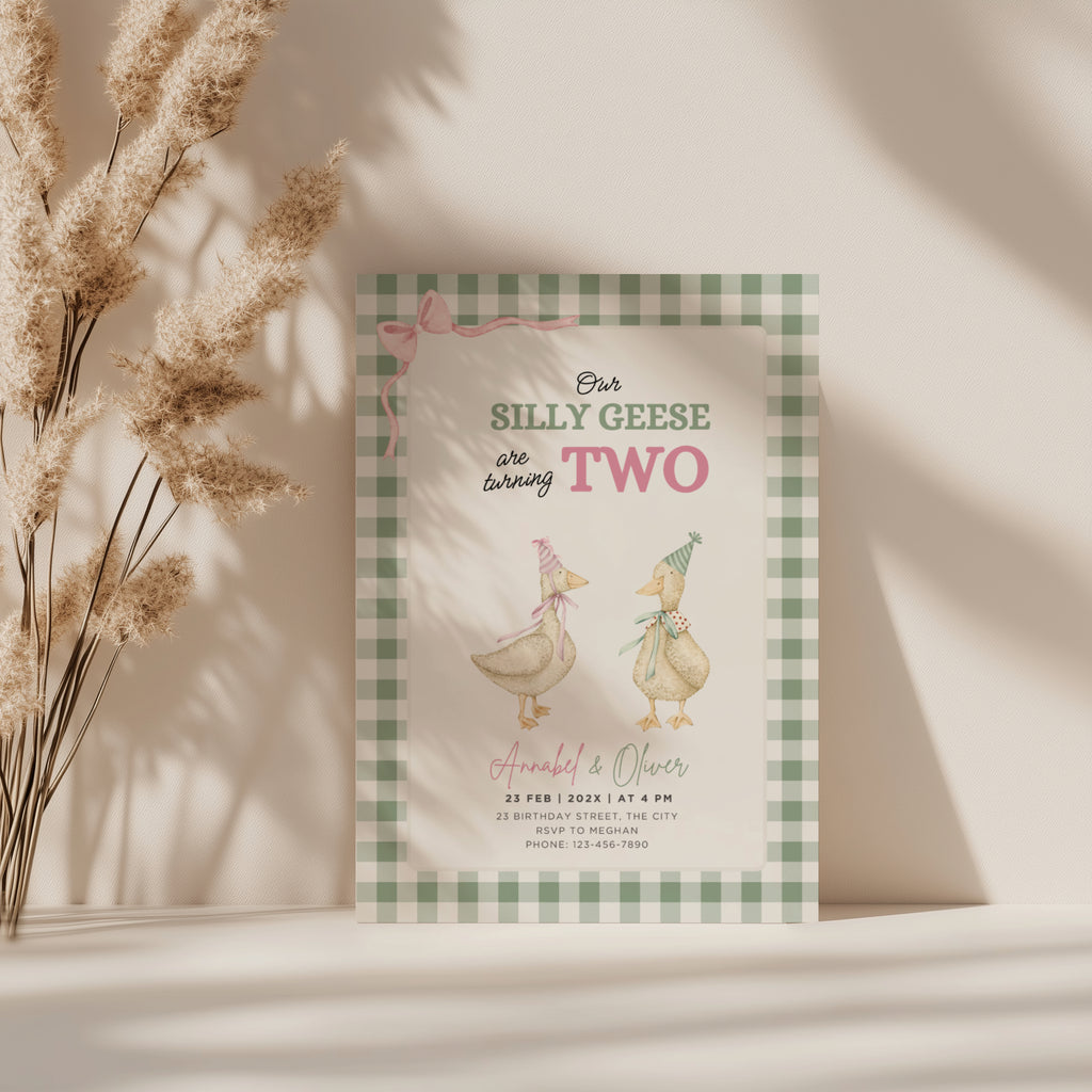 silly geese twins second birthday invitation with vintage geese and sage green gingham background