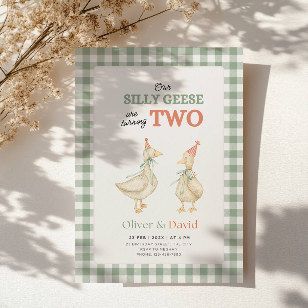 silly geese twins second birthday invitation with vintage geese and sage green gingham background