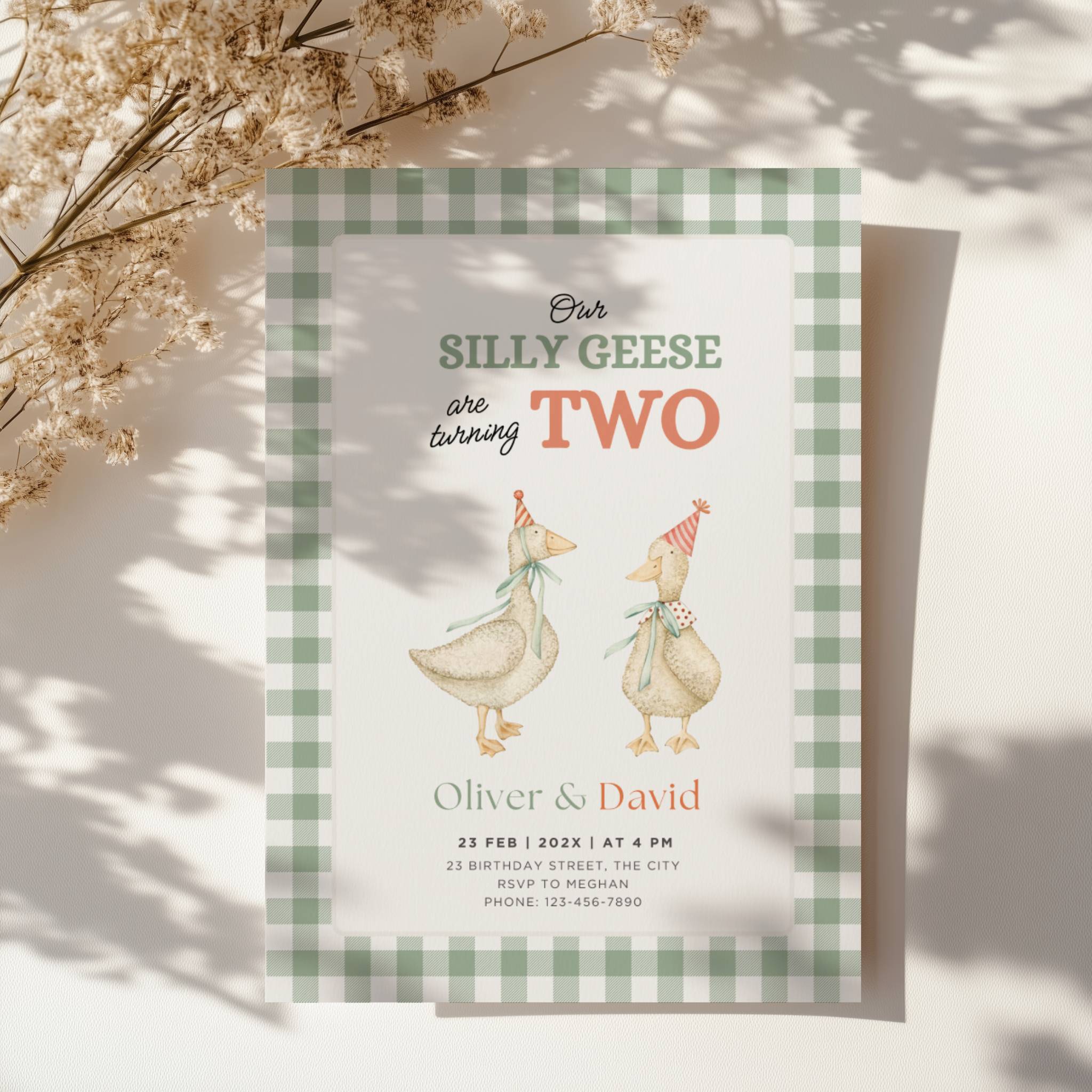 silly geese twins second birthday invitation with vintage geese and sage green gingham background