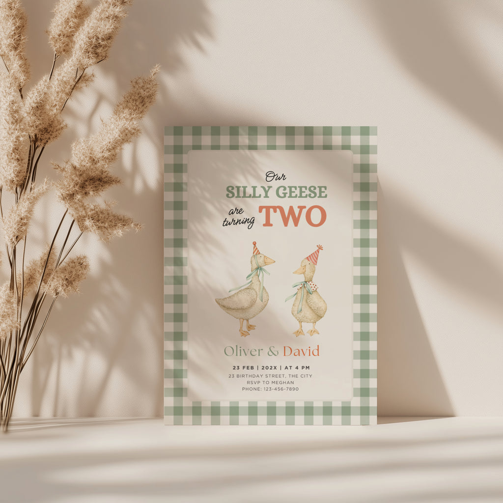 silly geese twins second birthday invitation with vintage geese and sage green gingham background