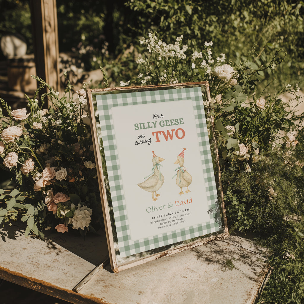 silly geese twins second birthday invitation with vintage geese and sage green gingham background