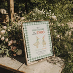 silly geese twins second birthday invitation with vintage geese and sage green gingham background