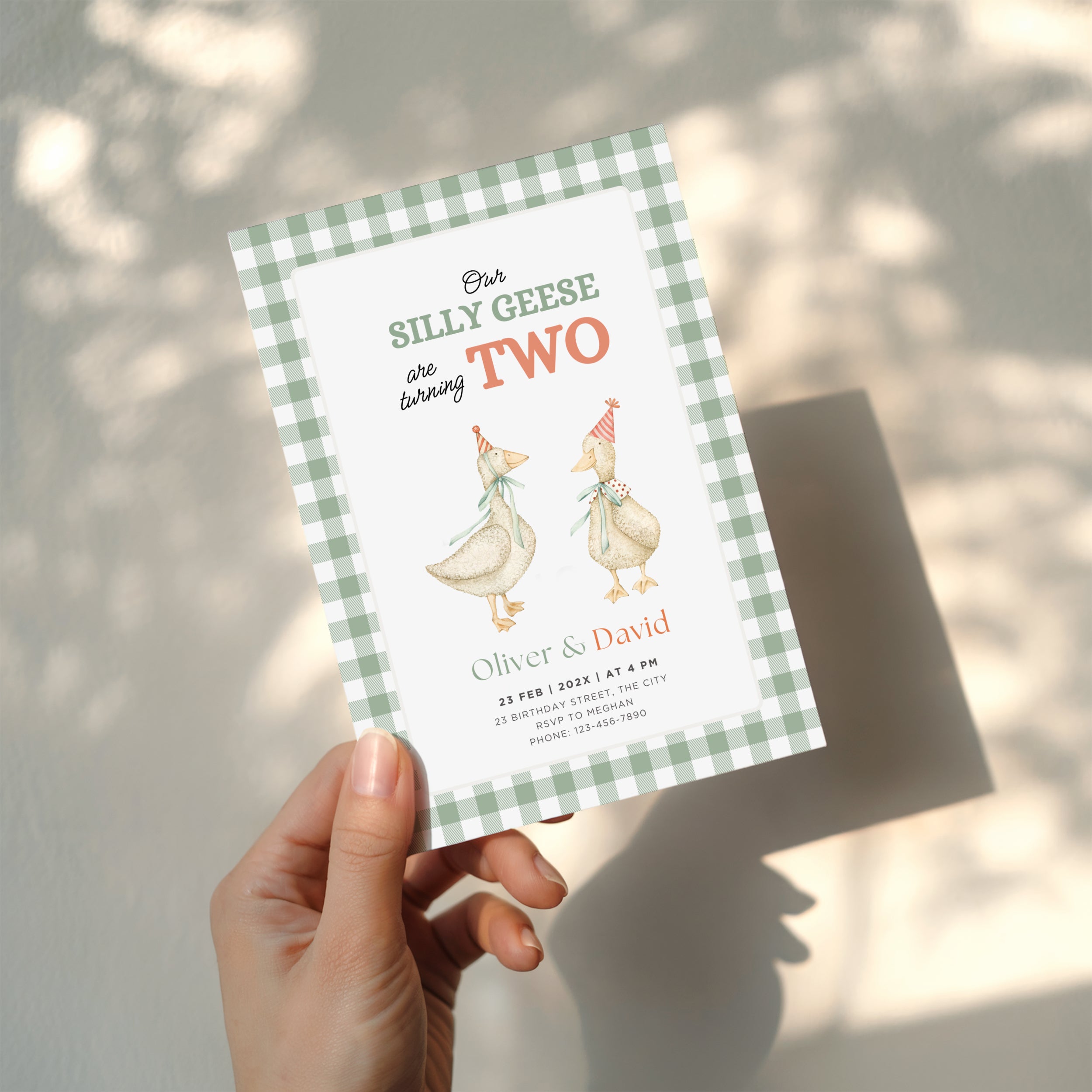 silly geese twins second birthday invitation with vintage geese and sage green gingham background